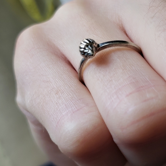 Verameat Shell Ring in Sterling Silver 🐚 - Picture 4 of 6